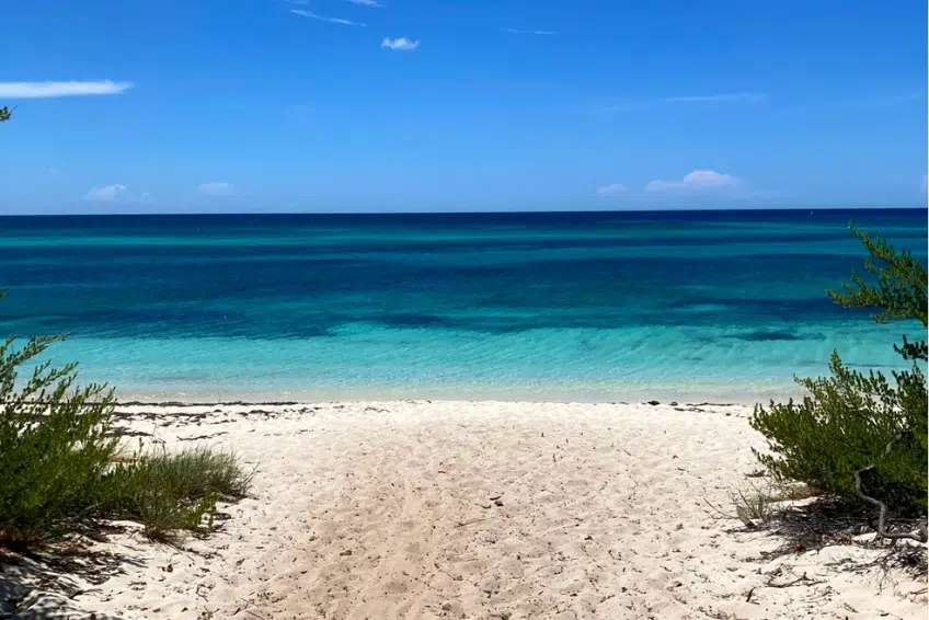 Secluded sandy path to turquoise ocean through coastal shrubs on Bahia de las Aguilas