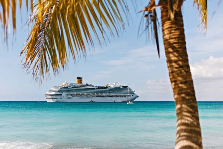 Cruise ship framed by palm trees in turquoise Caribbean waters