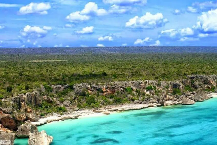 Rugged cliff coastline backed by dense flat forest in Jaragua National Park
