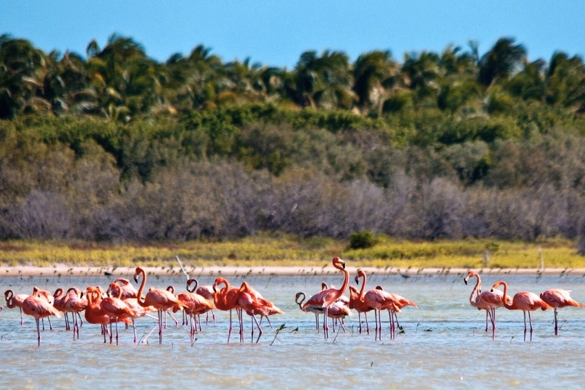 Best Things To Do In Cabo Rojo - Jaragua National Park