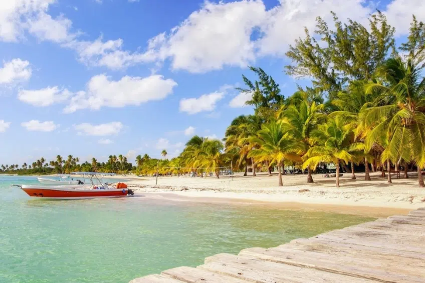 Palm-lined beach with boat and wooden dock on clear water in Jaragua National Park