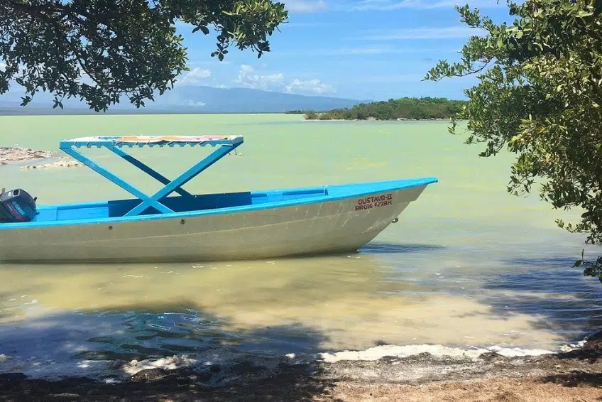 Blue tour boat with canopy anchored in calm green lagoon waters of Laguna de Oviedo