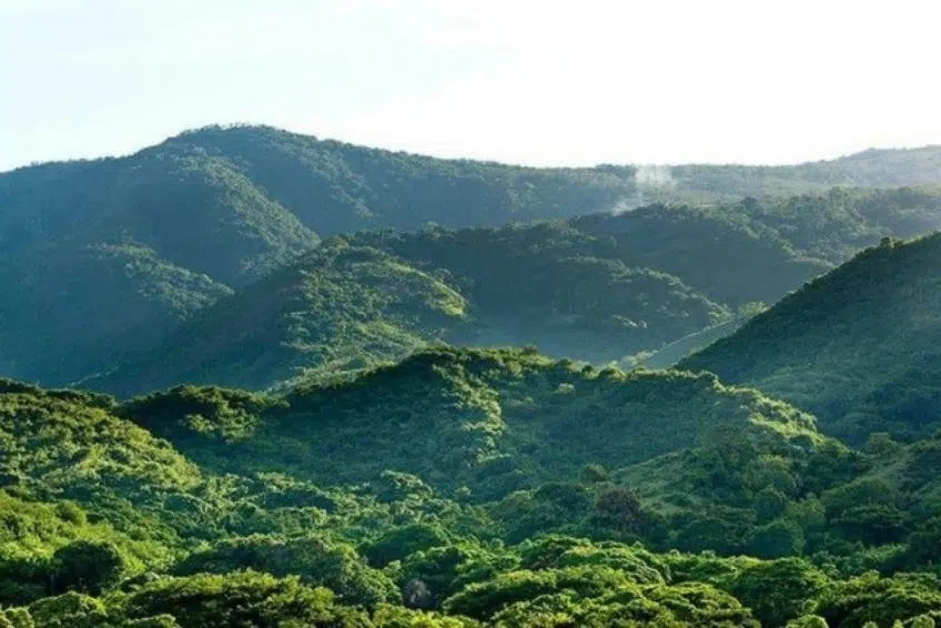Lush green tropical mountain landscape with misty peaks in Sierra de Bahoruco