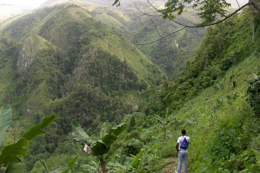 Hiker taking in sweeping jungle valley view in Sierra de Bahoruco