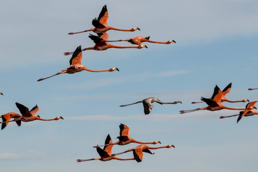 Laguna de Oviedo Visitors Guide - Things To Do