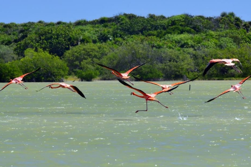 Laguna de Oviedo Visitors Guide - Things To Do