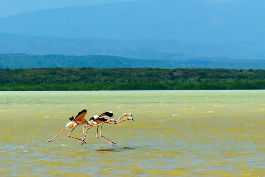 Laguna de Oviedo Visitors Guide - Things To Do