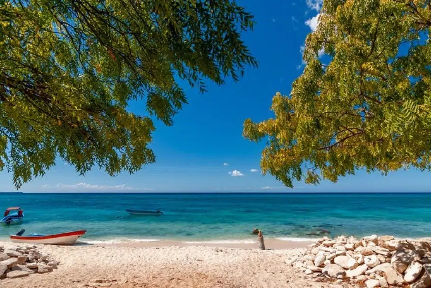 Colorful fishing boats beneath shady tree of Bahia de las Aguilas