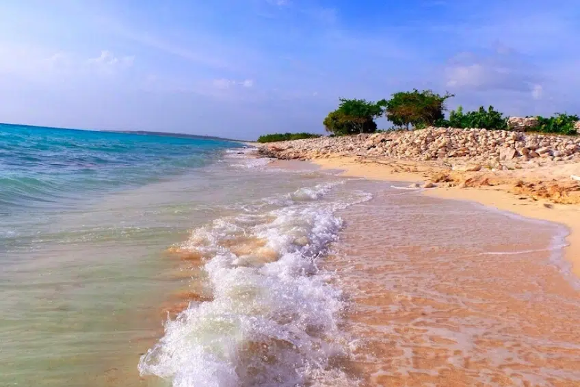 Gentle waves washing over sandy shoreline of Bahia de las Aguilas