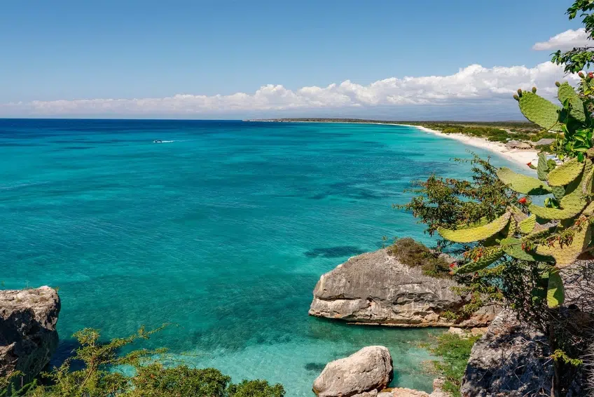 Cactus framed overlook of turquoise bay and white sands of Bahia de las Aguilas