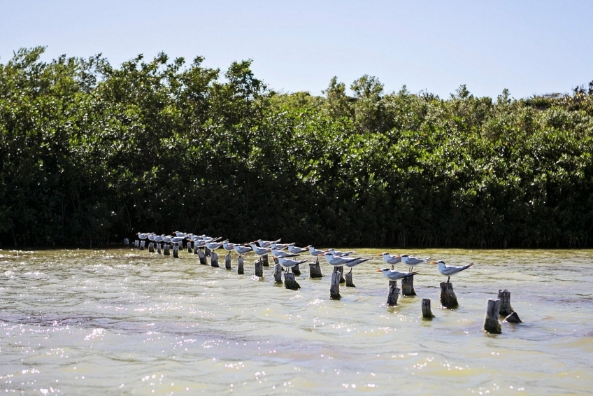 Laguna de Oviedo Visitors Guide - Things To Do