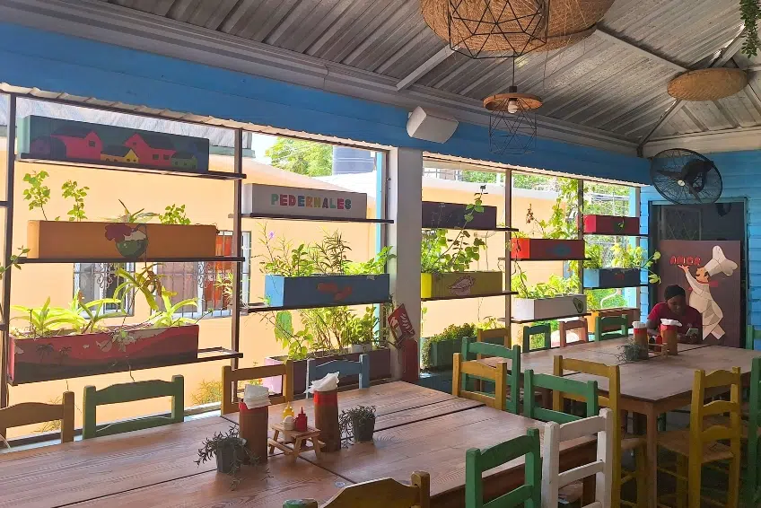 Colorful Bocanye Pedernales restaurant with herb planter wall décor