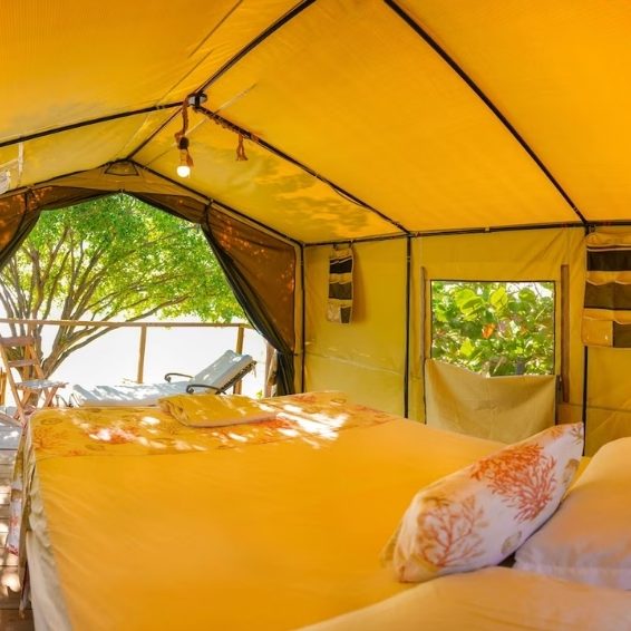 Pedernales Visitors Guide