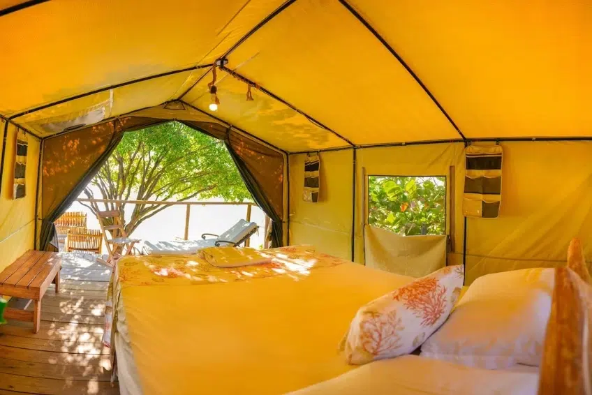 Glamping tent interior with bed and tree views at Cueva de las Aguilas