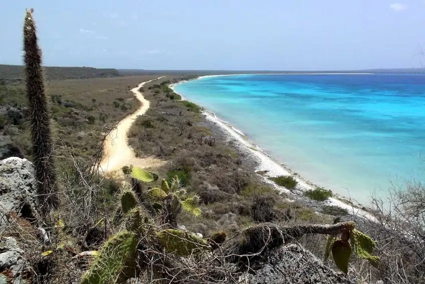 Winding dirt trail along Bahia de las Aguilas