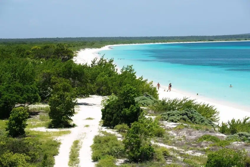 Hiking coastal cliffs with sweeping turquoise bay with lush coastal scrub