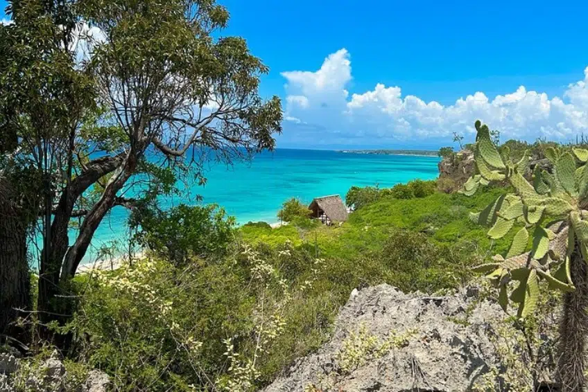 Views hiking the coastal cliffs of Bahia de las Aguilas