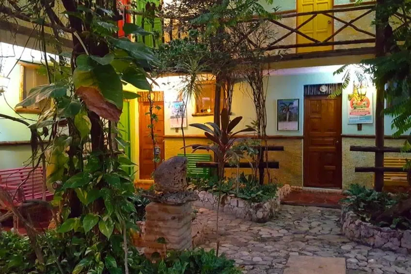 Lush courtyard garden at Hostal Doña Chava at night
