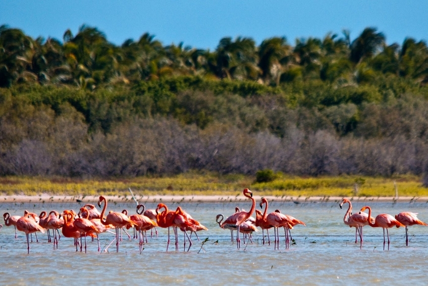 Pedernales Visitors Guide