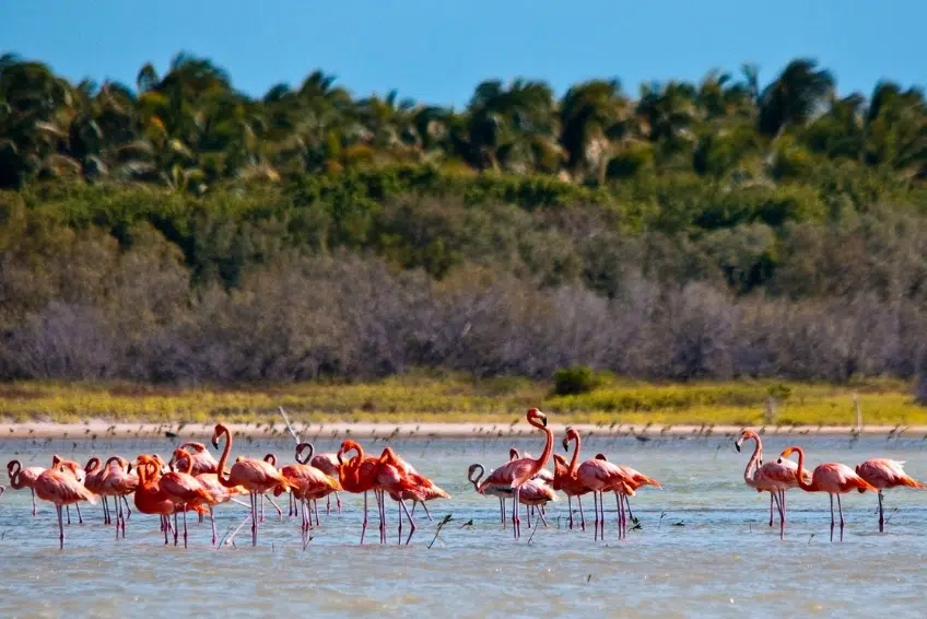 Pedernales Visitors Guide