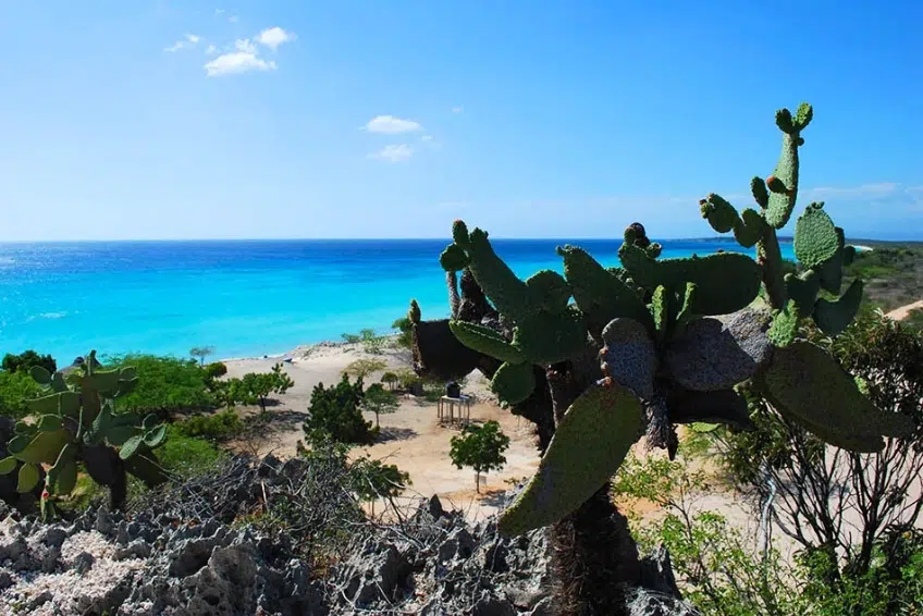 Pedernales Visitors Guide