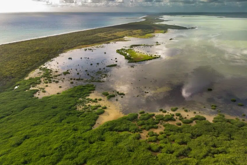 Laguna de Oviedo wetlands bordered by mangroves and ocean