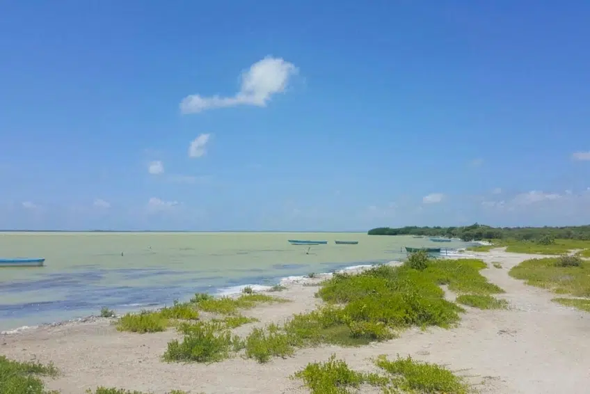 Boats moored along calm Laguna de Oviedo shoreline