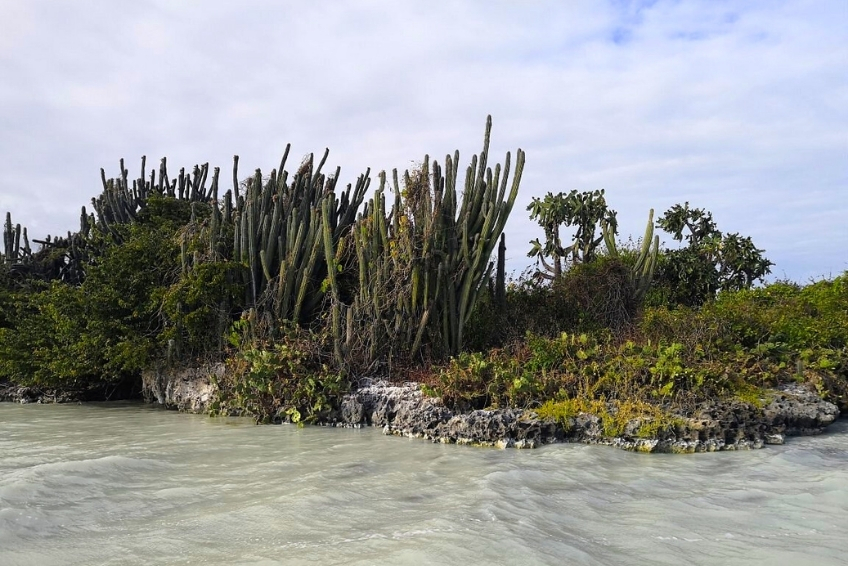 Pedernales Visitors Guide