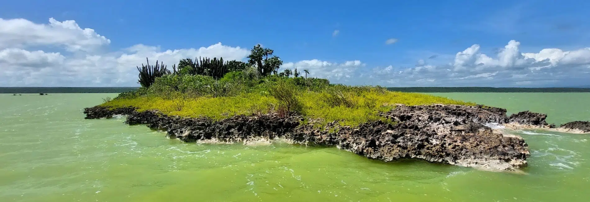 Rocky island with vegetation in Laguna de Oviedo