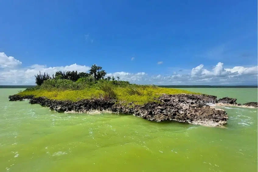 Rocky island with vegetation in Laguna de Oviedo