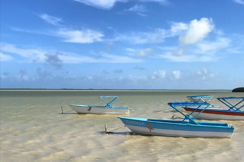 Boats moored in calm shallow water of Laguna de Oviedo