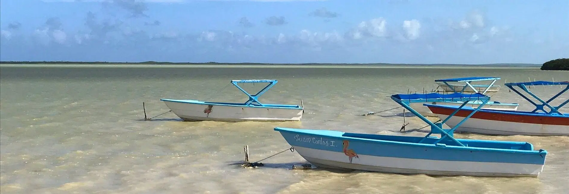 Boats moored in calm shallow water of Laguna de Oviedo