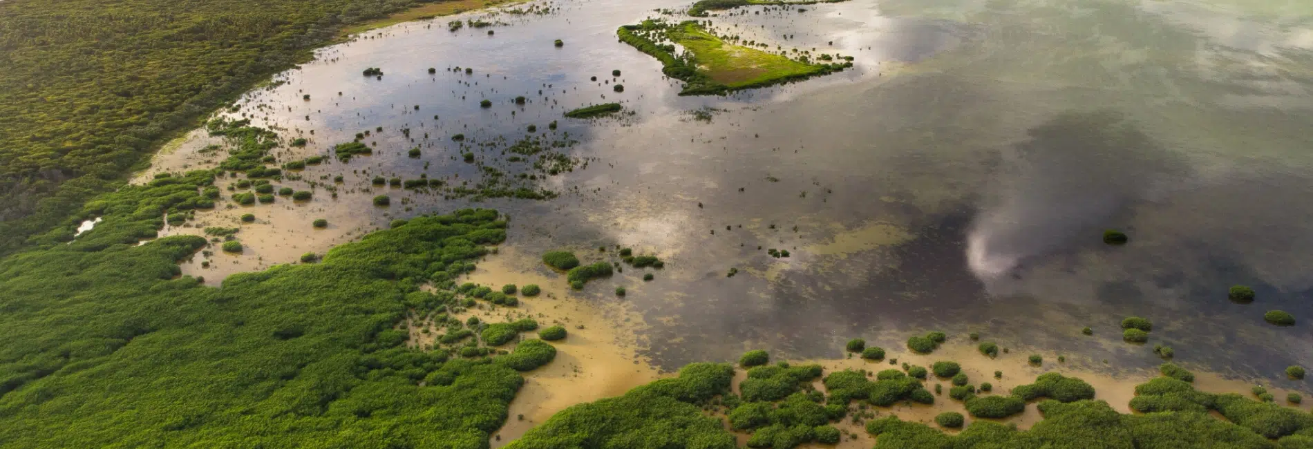 View of Laguna de Oviedo mangroves, wetlands, and coastline
