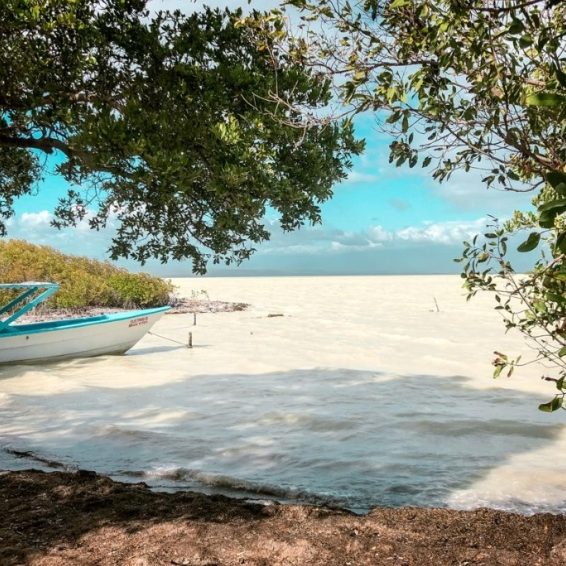 Laguna de Oviedo Visitors Guide