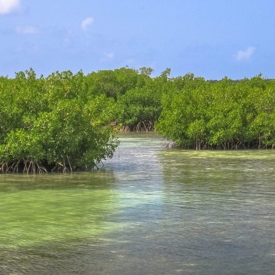 Laguna de Oviedo Visitors Guide