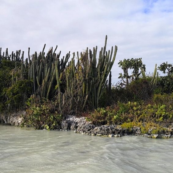 Laguna de Oviedo Visitors Guide