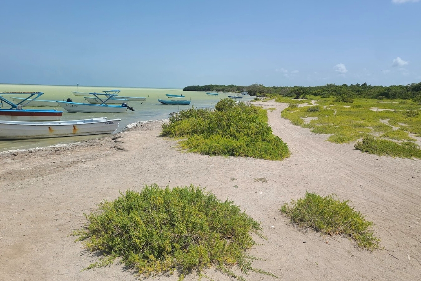 Laguna de Oviedo Visitors Guide