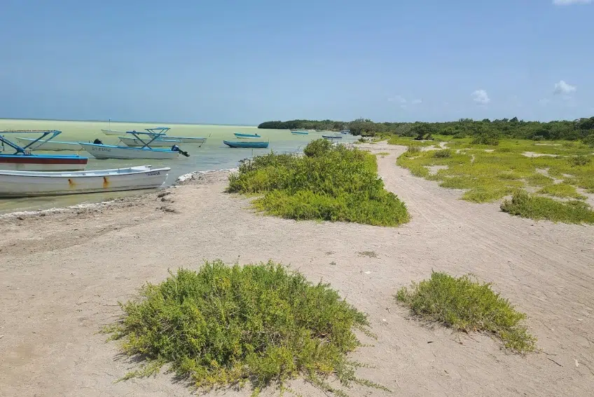 Fishing boats docked along Laguna de Oviedo shoreline