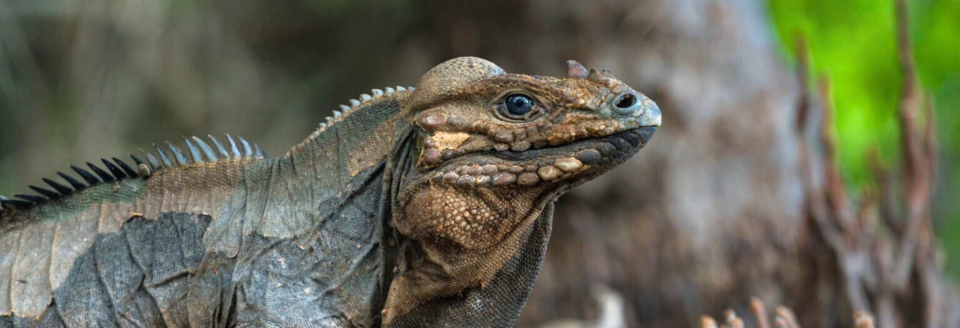 Laguna de Oviedo Visitors Guide