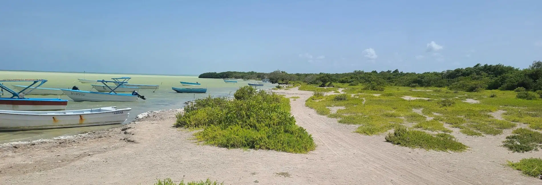 Fishing boats docked along Laguna de Oviedo shoreline