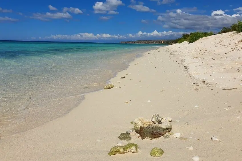 Shells and rocks scattered along empty Playa Pedernales shoreline