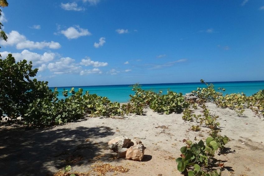 Pedernales Visitors Guide