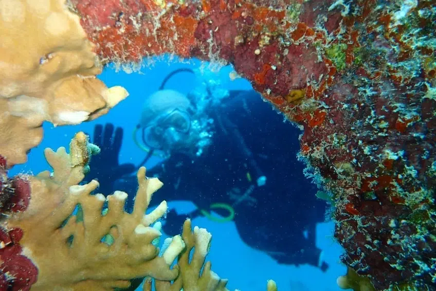 Scuba diver swimming through colorful coral arch underwater