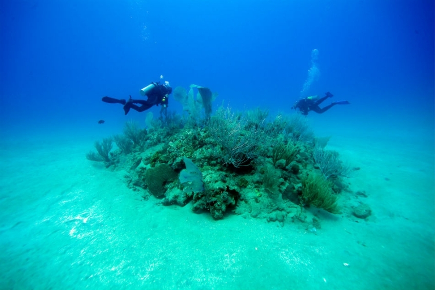 Pedernales Visitors Guide