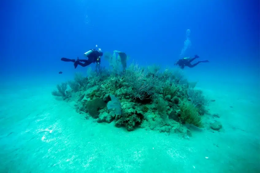 Scuba divers exploring coral formation on sandy seafloor
