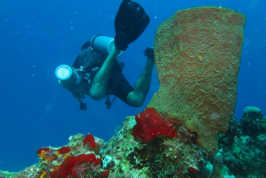 Pedernales Visitors Guide