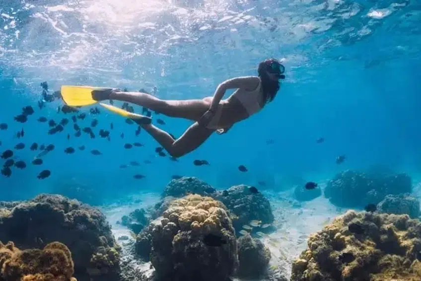 Snorkeling over tropical coral reef in Cabo Rojo, Dominican Republic