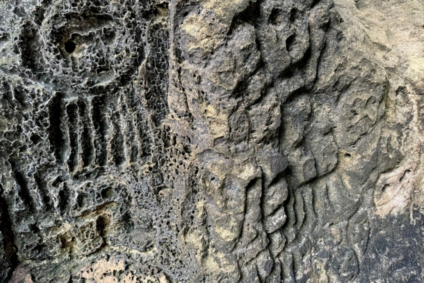 Laguna de Oviedo Visitors Guide - Things To Do