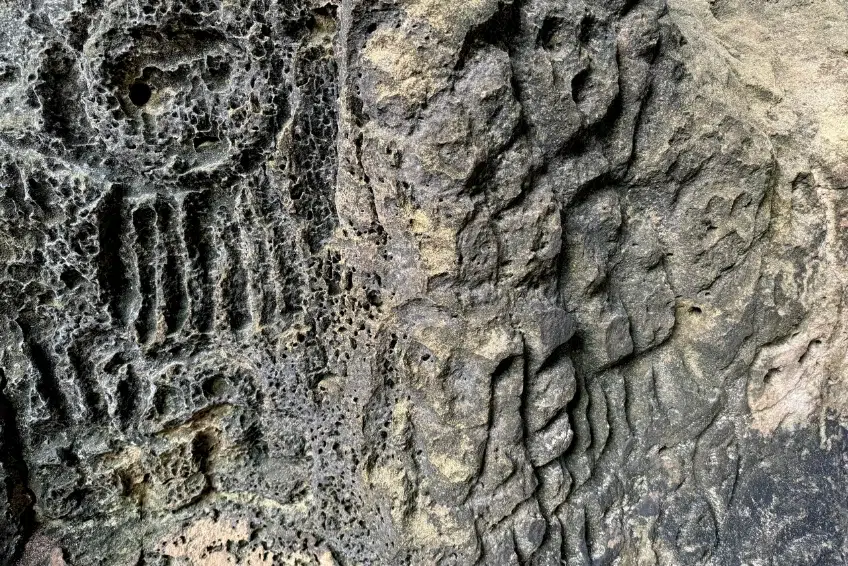 Detailed close-up of Taíno petroglyphs carved in porous rock