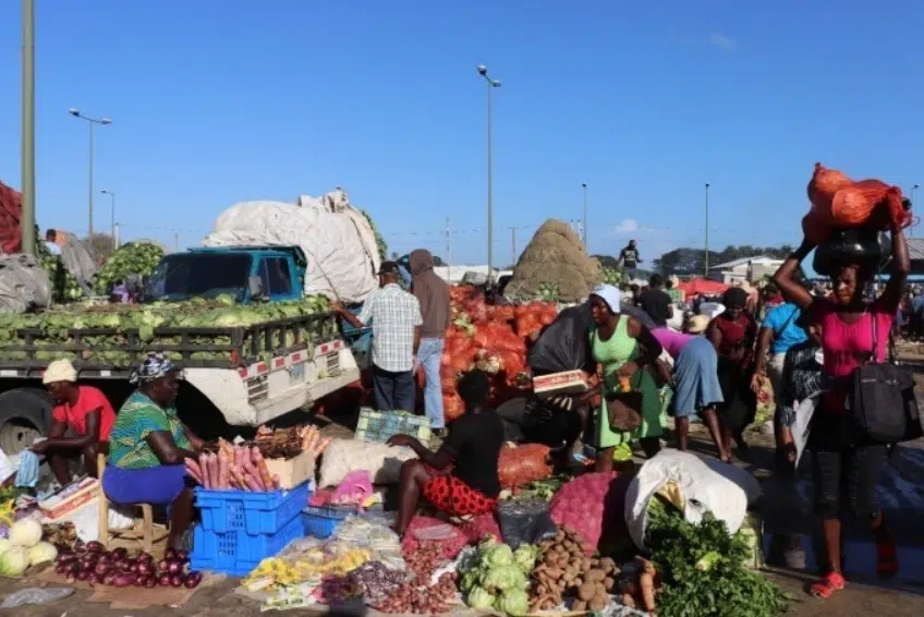 Busy outdoor market with vendors selling fresh produce at the Binational Border Market